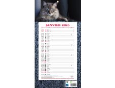 Bouchut 409 Animaux - Calendrier de bloc mensuel à feuillets - 19 x 36 cm