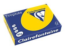 Clairefontaine Trophée - Papier couleur - A4 (210 x 297 mm) - 80 g/m² - 500 feuilles - bouton d'or