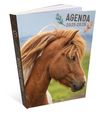 Agenda RDC reliure brochée année scolaire BOUCHUT "Cheval" 1 jour /page 12 x 17 cm PEFC 70 %