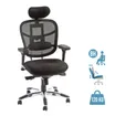 Fauteuil de bureau TECKNET - accoudoirs réglables - appuie-tête réglable - noir