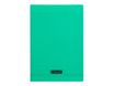 Calligraphe 8000 - Cahier polypro A4 (21x29,7 cm) - 96 pages - grands carreaux (Seyes) - vert