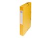 Exacompta Exabox - Boîte de classement en carte lustrée - dos 40 mm - jaune