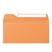 3329680549508-Pollen - 20 Enveloppes - 110 x 220 mm - 120 g/m² - clémentine-P_5495_1-0
