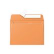 3329680549607-Pollen - 20 Enveloppes - 114 x 162 mm - 120 g/m² - clémentine-P_5496_1-0