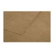 3329680290011-Pollen - 20 Enveloppes - 90 x 140 mm - 135 g/m² - kraft-Gros plan-2