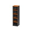 Colonne bibliothèque JAZZ+ - L48 x H183 x P48 - Aulne