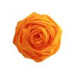 3065501036160-Clairefontaine Premium - Papier crépon - Rouleau 50 cm x 2,5 m - 40 g/m² - or-Avant-0