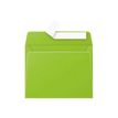 Pollen - 20 Enveloppes - 90 x 140 mm - 120 g/m² - vert menthe
