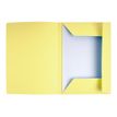 3288582350059-Exacompta Super 210 - 50 Chemises imprimées - 210 gr - canari-Avant-1