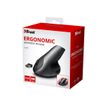 8713439221268-Trust Varo - souris sans fil ergonomique - noire-Angle droit-4