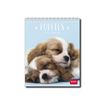 8052694000233-Legami Photo Collection - Calendrier 2024 - 12 x 14,5 cm - chiots-Avant-0
