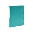 3130630591900-Exacompta Forever Young - Boîte de classement - dos 40 mm - pour 350 feuilles - disponible-Angle gauche-2
