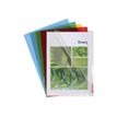 3130636605007-Exacompta - 10 Pochettes coin - A4 - 13/100 - couleurs assorties-P_300033737_2-1