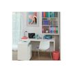 4049793059303-Esselte Colour'Ice - classeur à anneaux personnalisable - A4 - pour 190 feuilles-P_300034399_3-2