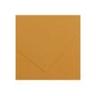 3148950402417-Canson Iris Vivaldi - Papier - 500 x 650 mm - cuir - 185 g/m²-P_300043363_1-0