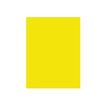 5011386020563-Daler-Rowney Graduate - Peinture acrylique - 120 ml - jaune citron-Gros plan-1