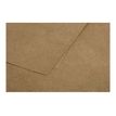 3329680290127-Pollen - 25 Cartes - 160 x 160 mm - 200g/m² - kraft-Gros plan-1