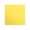 Clairefontaine Maya - Papier à dessin - 50 x 70 cm - 25 feuilles - 270 g/m² - citron