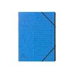 3130630571223-Exacompta Clean'Safe - Trieur 12 positions - couverture bleue-P_400003339_1-0