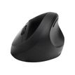 5028252602730-Kensington Pro Fit Ergo - Ensemble clavier et souris sans fil - Azerty - noir-P_400008884_9-17