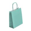 50 Sacs cadeau kraft - poignées torsadées - 22 cm x 12 cm x 31 cm - vert d'eau