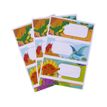 8410782184393-Apli Dinosaures - 9 Étiquettes scolaires - 36 x 81 mm--2