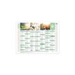 Quo Vadis Equology - Calendrier recyclé 7 mois par face - 18 x 13,5 cm