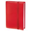 Agenda spiralé à élastique Time & Life XLarge - 1 semaine sur 2 pages - 21 x 27 cm - rouge cerise - Quo Vadis
