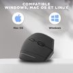 3303170113967-T'nB Ergo - Souris sans fil ergonomique pour droitier - noir--7