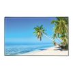 3135251383965-Sous-main Paysages - 59,5 x 36,2 cm - Assortis - Viquel--1