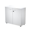 Bibliothèque basse Trend - L80xP35xH72 cm - 2 portes en mélaminé avec serrure - gris