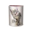 3664447120034-Oberthur Chatons Twins pot à crayons-P_405114677_1-0