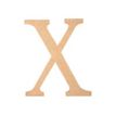 3532431039740-Graine Creative - lettre de décoration - X - 22 x 1,2 cm-P_405119754_1-0