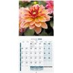 3592930027273-Calendrier illustré BOUCHUT 15 x 15 cm FLEURS 70 %-P_405121457_2-1