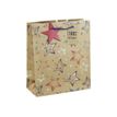 5033601002970-Clairefontaine - Sac cadeau kraft - étoiles multicolore - 21,5 cm x 10,2 cm x 25,3 cm-P_405124537_1-0