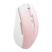 3303170113219-TNB Dual Connect Gradient - Souris sans fil - rechargeable - rose-P_405147304_4-2
