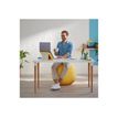 4002432129522-Leitz Ergo Cosy Active - Ballon d'assise - diamètre de 65 cm - jaune chaleureux-P_405148763_4-4