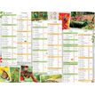 3664447151465-Calendrier Jardin calme - 6 mois par face - 32 x 42 cm - Oberthur-P_405149373_1-0