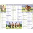 3664447165202-Calendrier Cheval - 6 mois par face - 40,5 x 55 cm - Oberthur-P_405161982_2-1