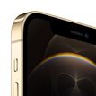 0404051819800-Apple iPhone 12 Pro - Smartphone reconditionné grade A (très bon état) - 256Go - or-P_405181980_4-2