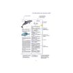 9782036068735-Le dictionnaire Larousse Junior et son dictionnaire en ligne - CE/CM - livre-P_405184149_11-10