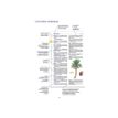 9782036068735-Le dictionnaire Larousse Junior et son dictionnaire en ligne - CE/CM - livre-P_405184149_2-1