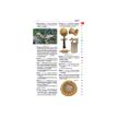 9782036068735-Le dictionnaire Larousse Junior et son dictionnaire en ligne - CE/CM - livre-P_405184149_8-7