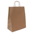 3700030058565-Sac kraft poignées torsadées Jungle vert -  24 x 11 x 31 cm-P_405221670_1-0