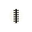 3660942087995-Notebook Léo fourrure ligné - 15 x 21 cm - beige - Exacompta-P_405228060_2-1