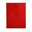 5412303149488-Agenda journalier Optivision Large – format 1L – modèle Lucca – disponible dans différentes cou--6