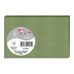 3329680014709-Clairefontaine Pollen - Papier - 82 x 128 mm - 25 feuilles - salvia - 210 g/m²-P_405245133_1-0