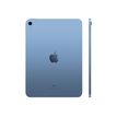 195950069099-Apple iPad 10ème génération - tablette 10.9" - 256 Go - bleu-P_405253060_6-2