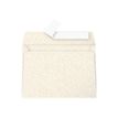 Pollen - 20 Enveloppes - 114 x 162 mm - 120 g/m² - ivoire irisé