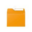 Pollen - 20 Enveloppes - 90 x 140 mm - 120 g/m² - capucine